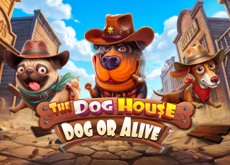 The Dog House - Dog Or Alive